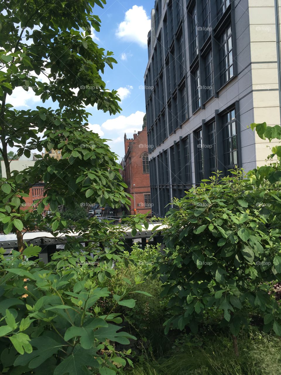 No Person, Architecture, Building, House, Tree