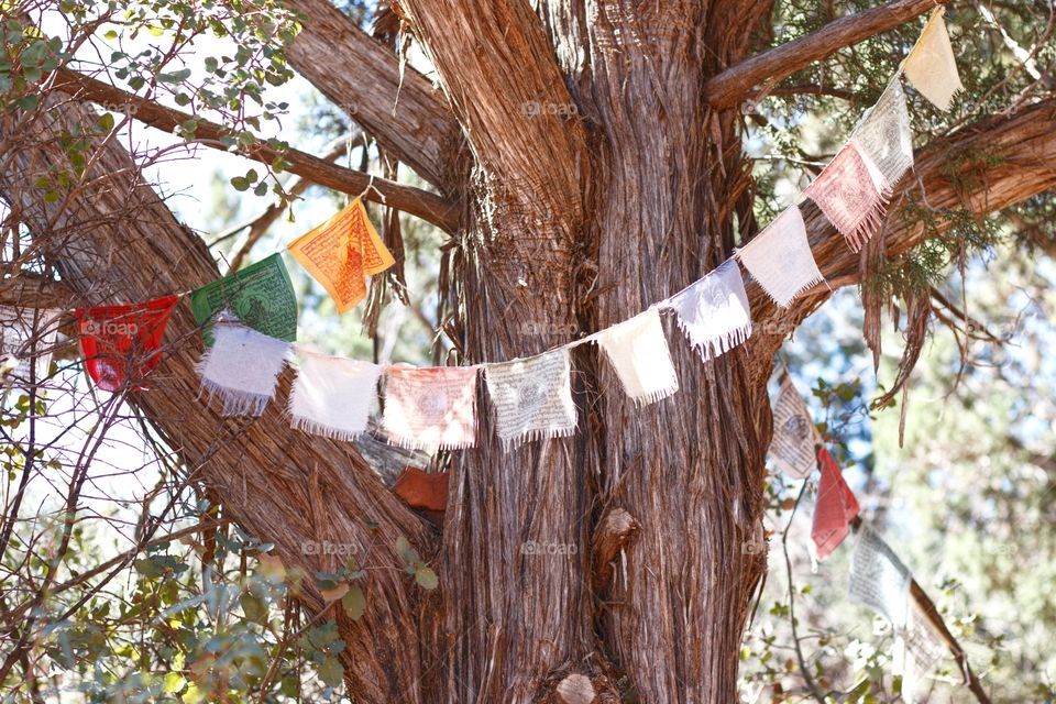 Prayer flags at Amitabha Stupa and Peace Park in Sedona, Arizona