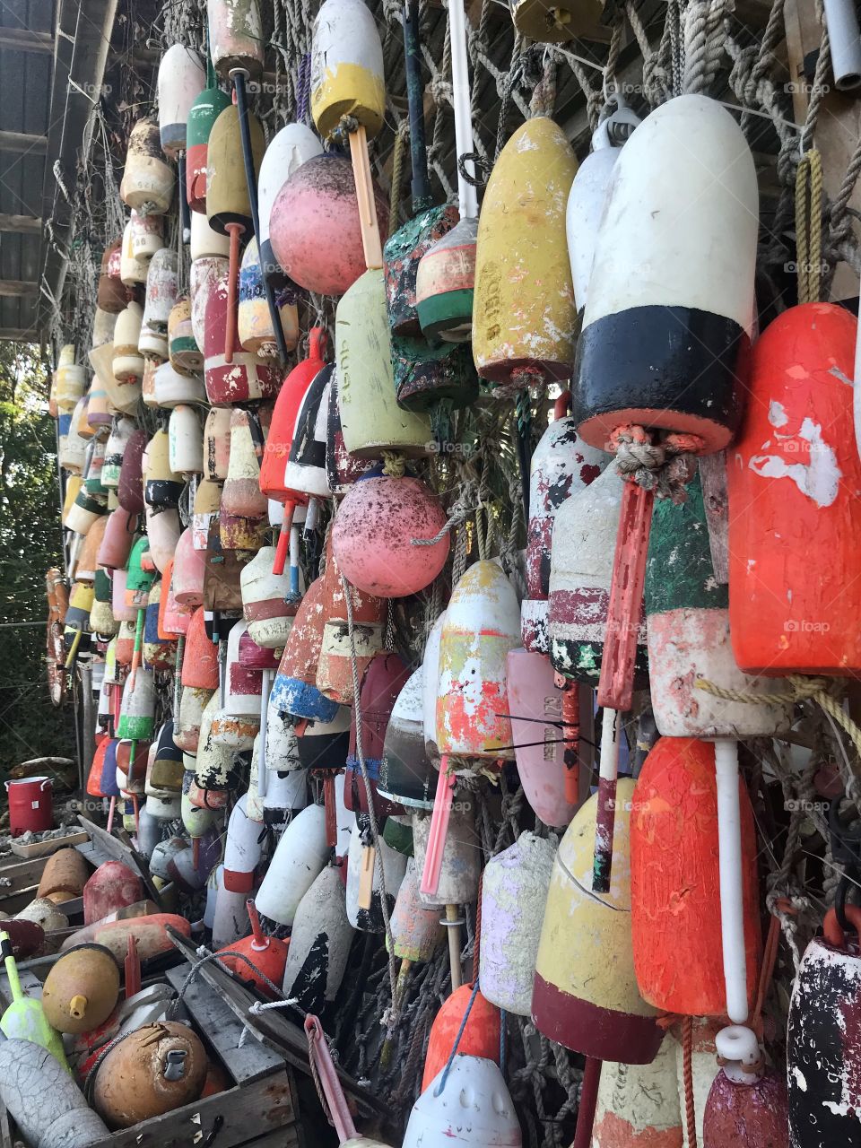 Buoys 