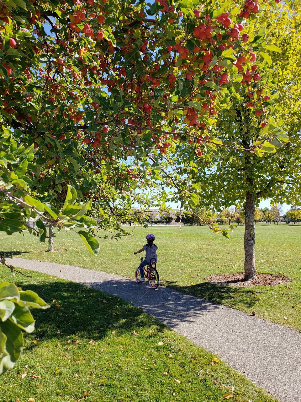 young girl riding bike in park