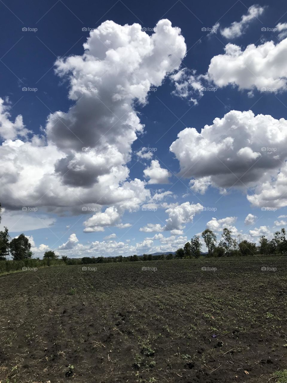 sky Cloud   environment soil plain Land Nature Plant horizon scenics - nature   rural area no people Agriculture