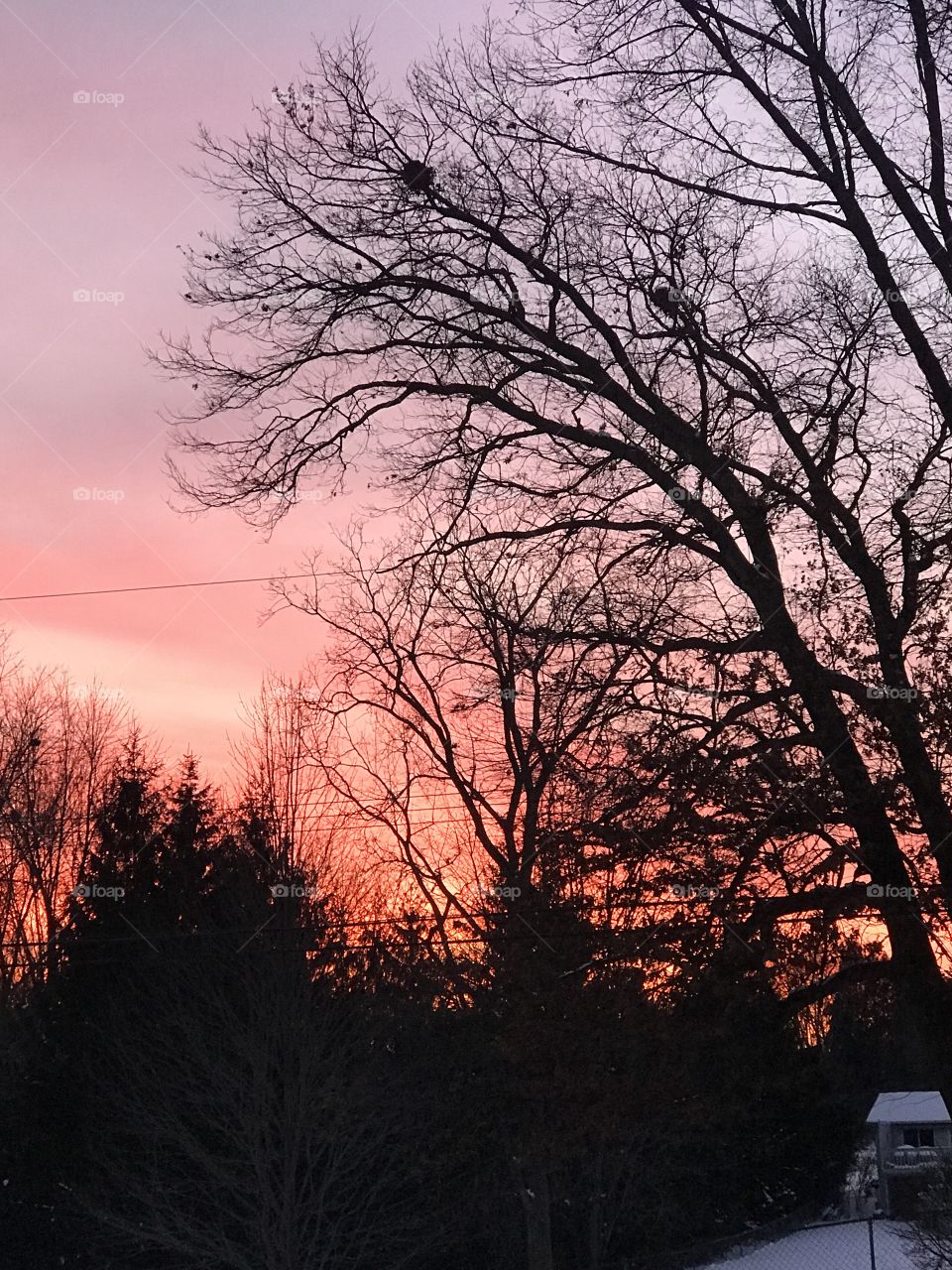 Beautiful winter sunset 