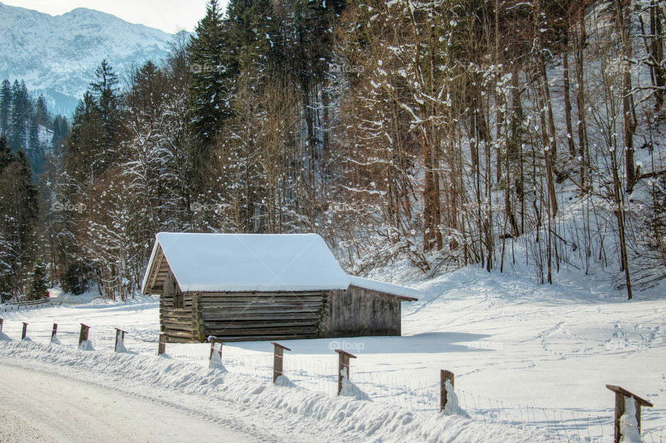 Log cabin 