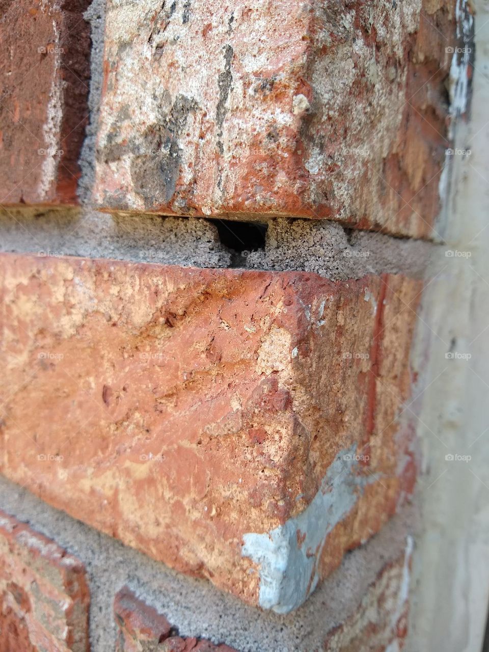 Where someone shot at my apartment and then lied about it. Apparently, you can see this CLEAR AS DAY.