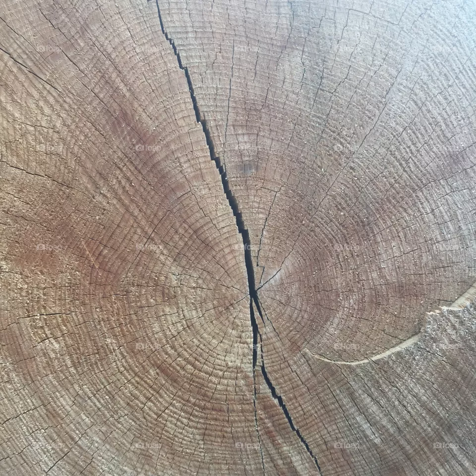 Split