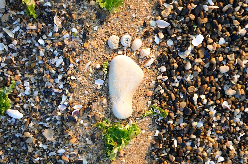 Hand Made Step on The Beach with Pebbles and Shells