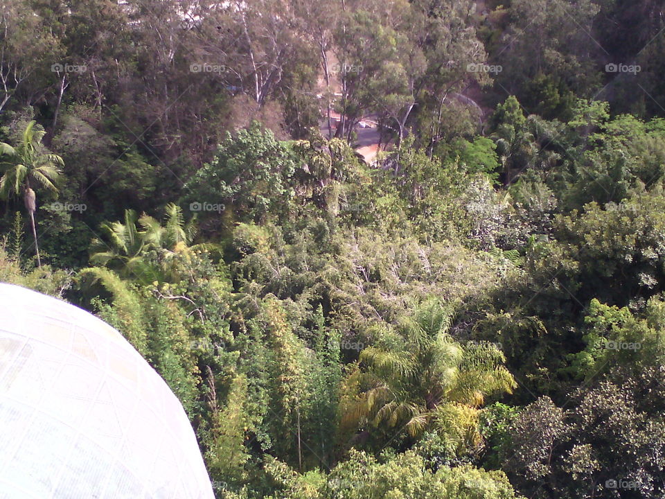 aerial view from a skyline. I took this picture at the San Diego zoo from a skyline ride