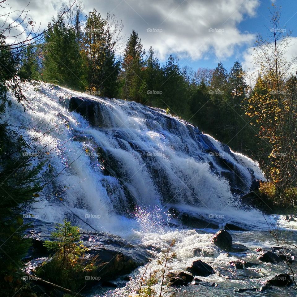 Waterfall flowing in forest