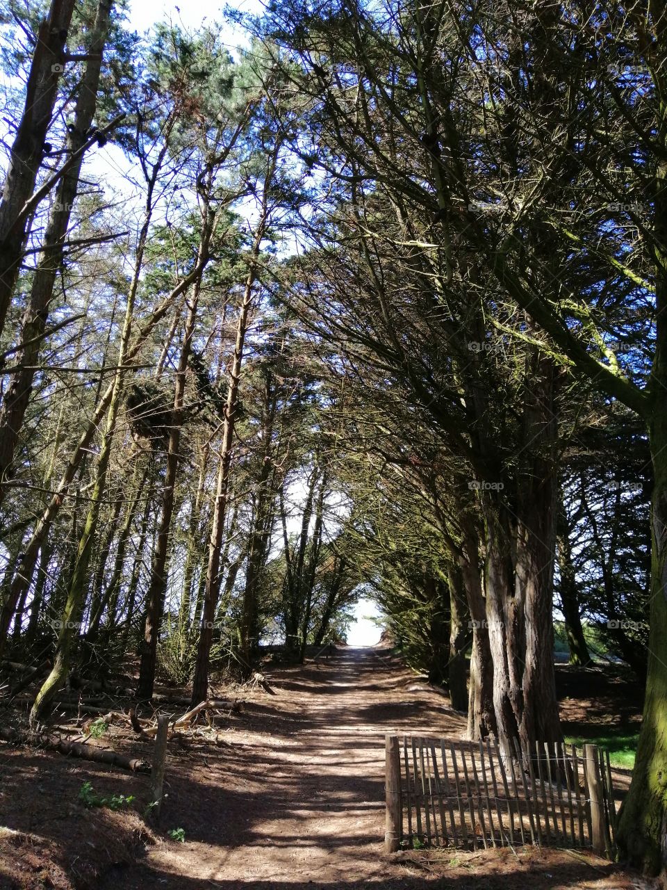 Le chemin des dunes, en Bretagne à Roscoff