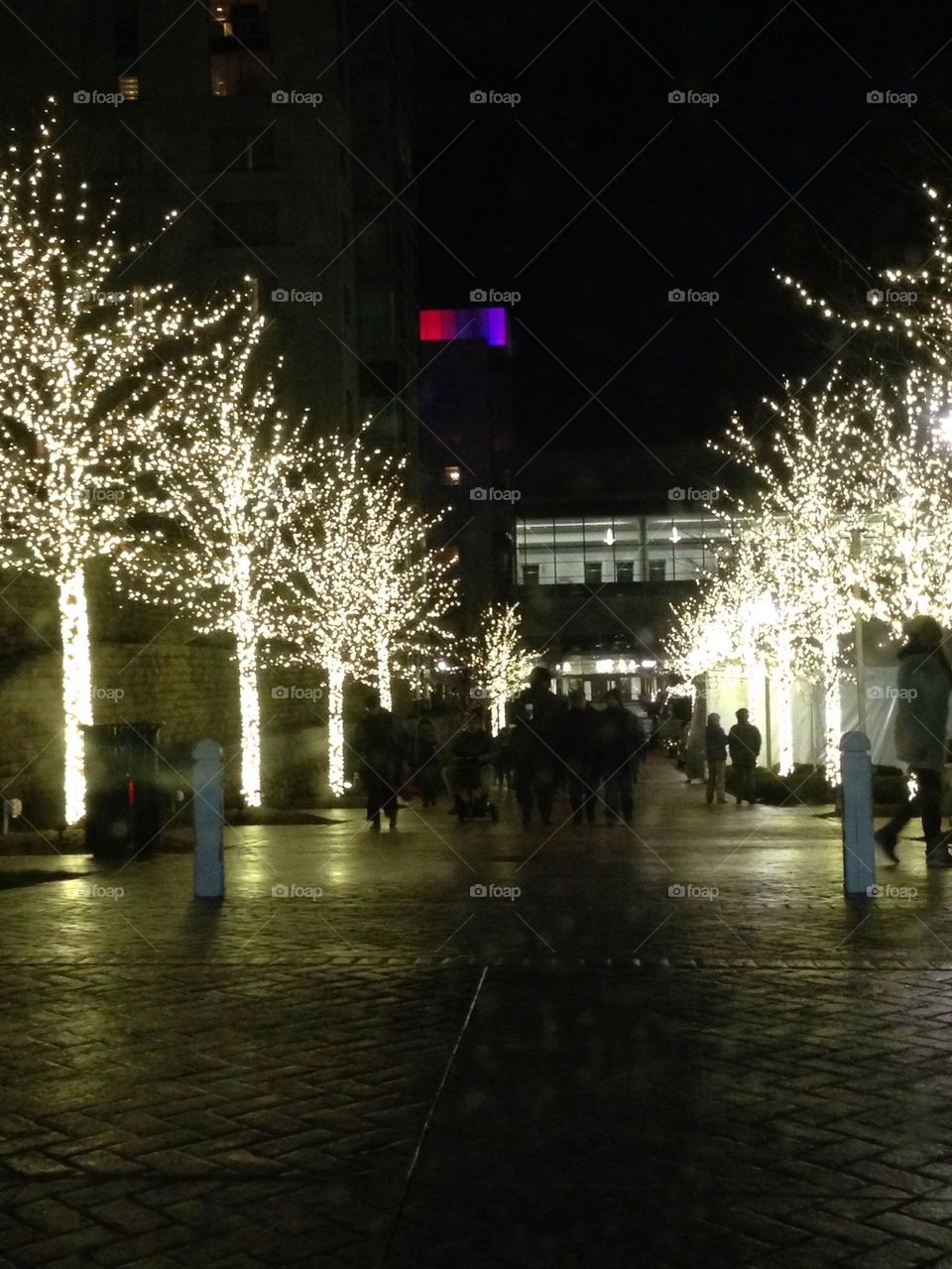 Christmas Time at National Harbor