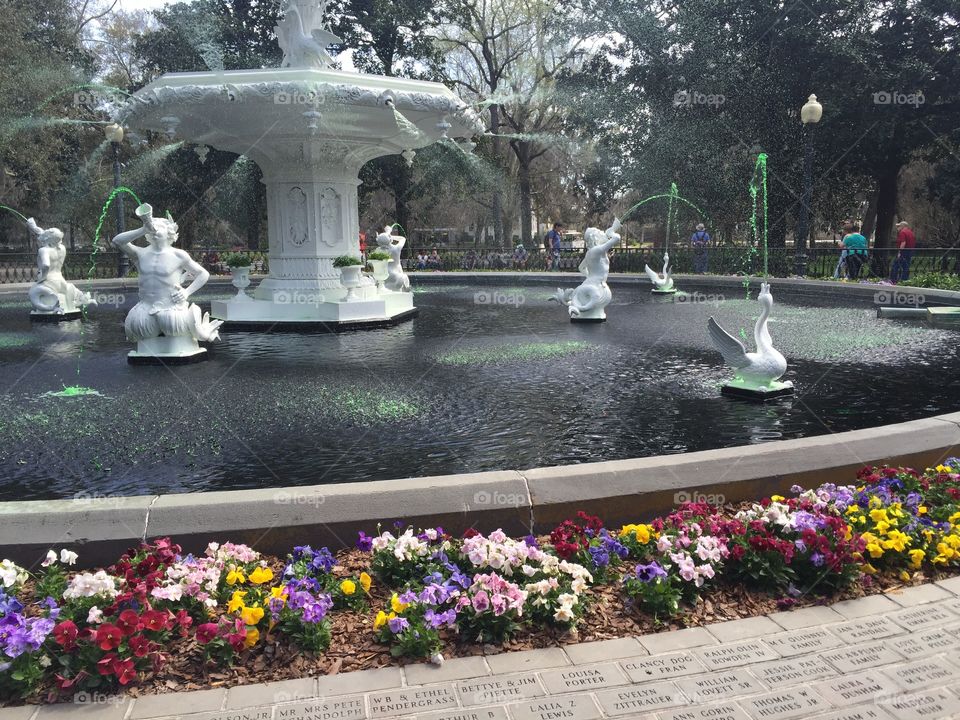Fountain, Garden, Flower, Park, City