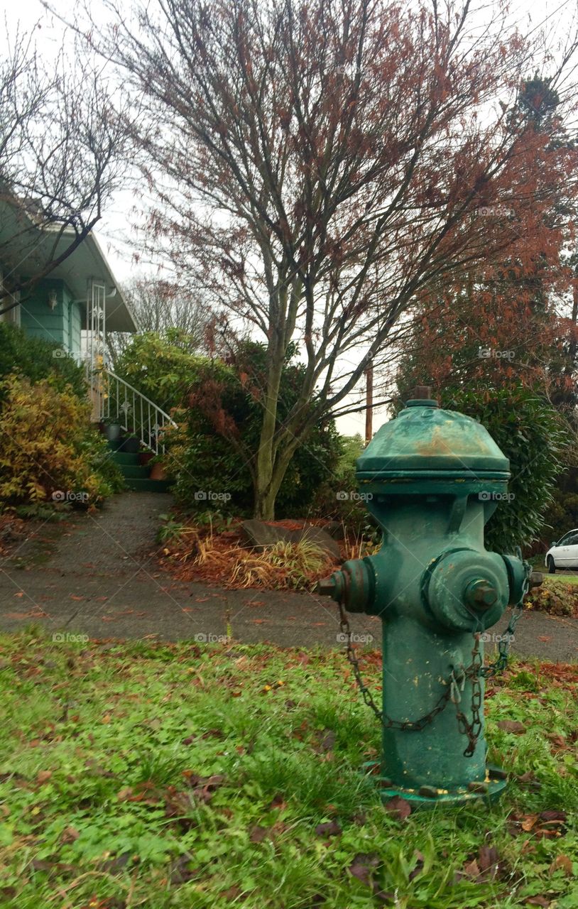 Rustic hydrant 