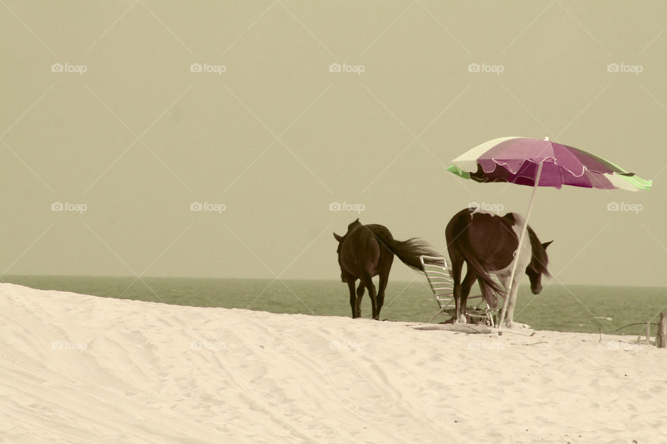 Take the Nostalgic Way Home ( Series )