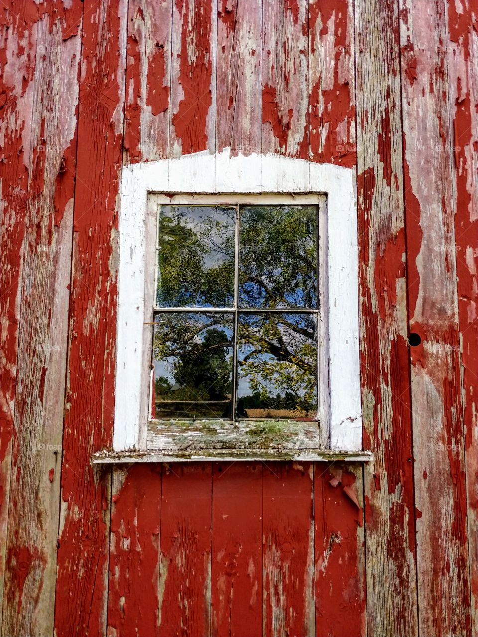 Barn reflections