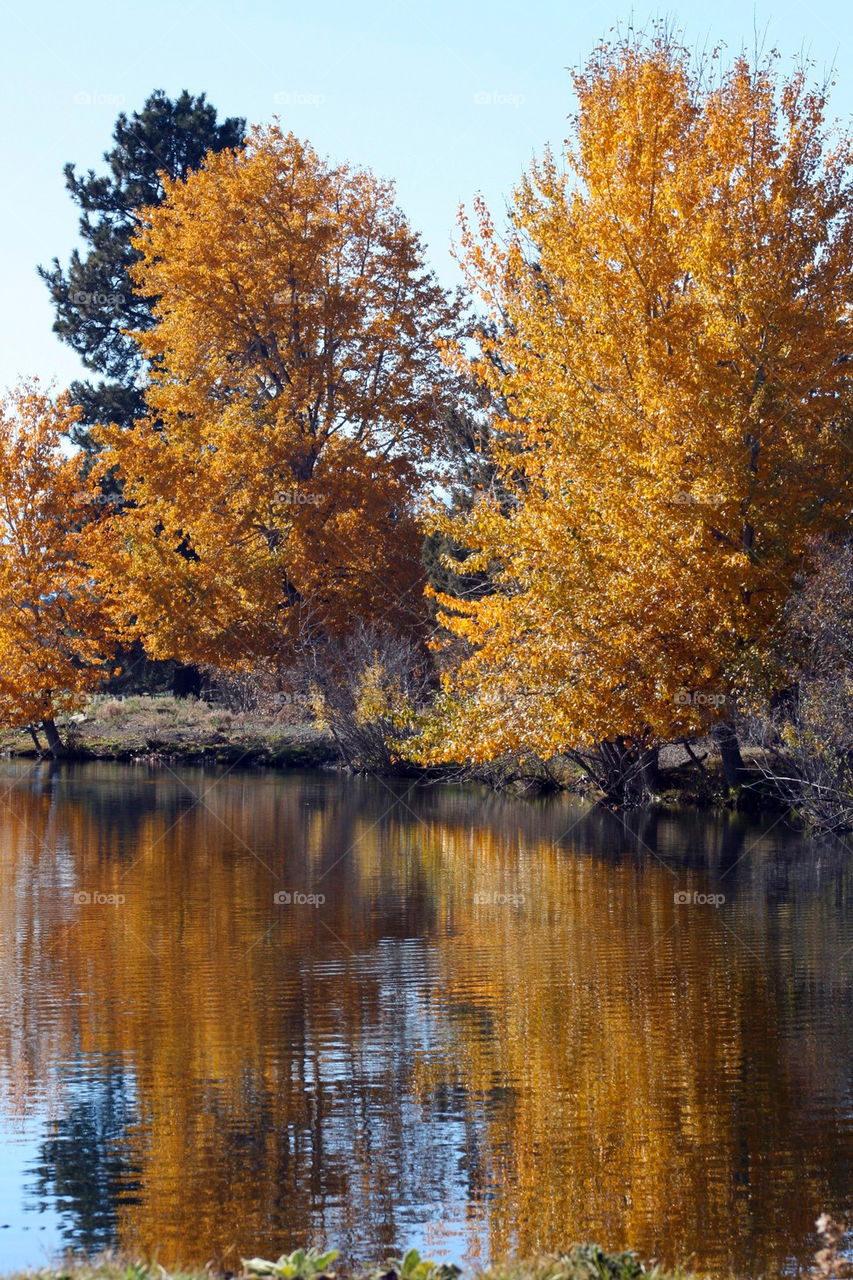 orange water fall reflection by mmcook