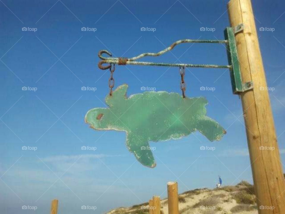 Turtle nesting sign at a beach
