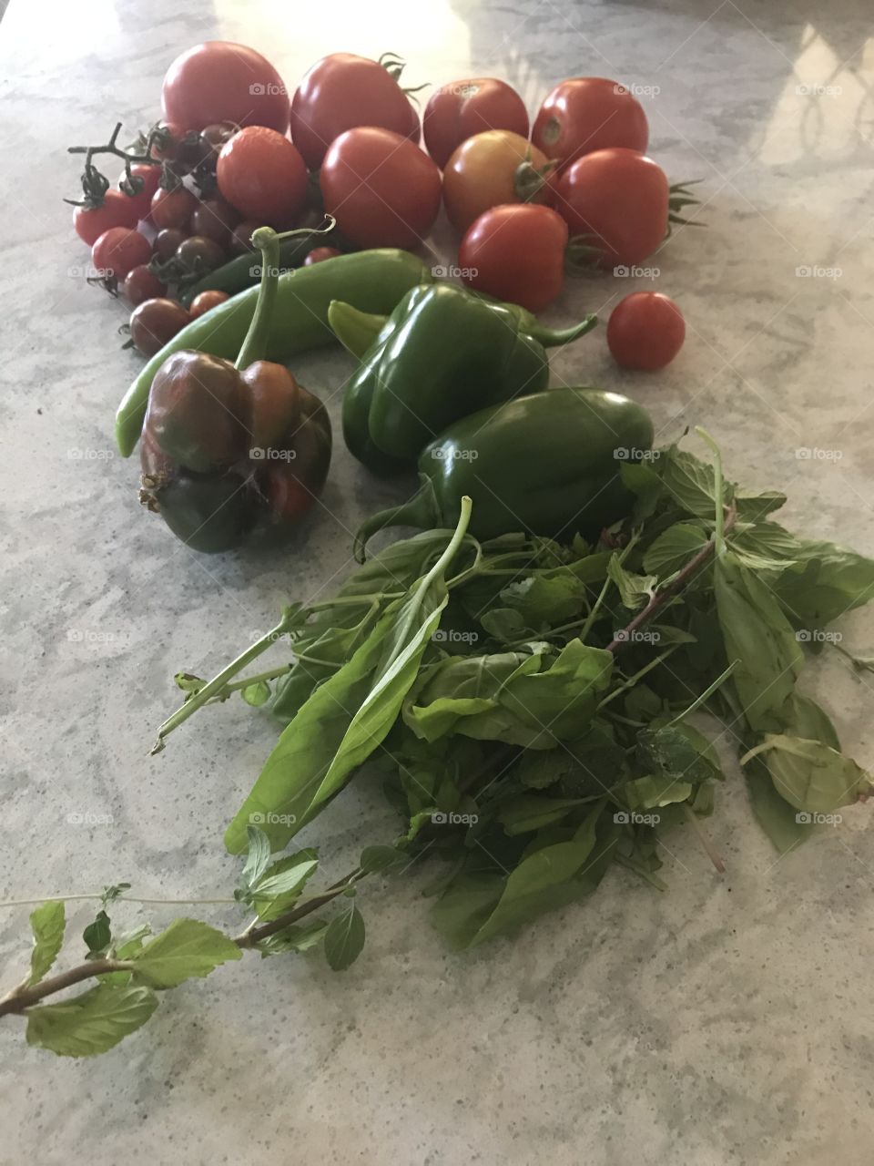 Veggie harvest 