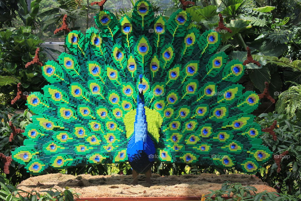 Peacock Legos 