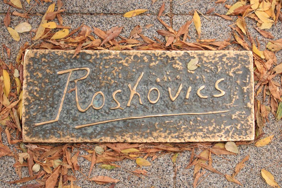 Autumn vibes 🤎🍁💛