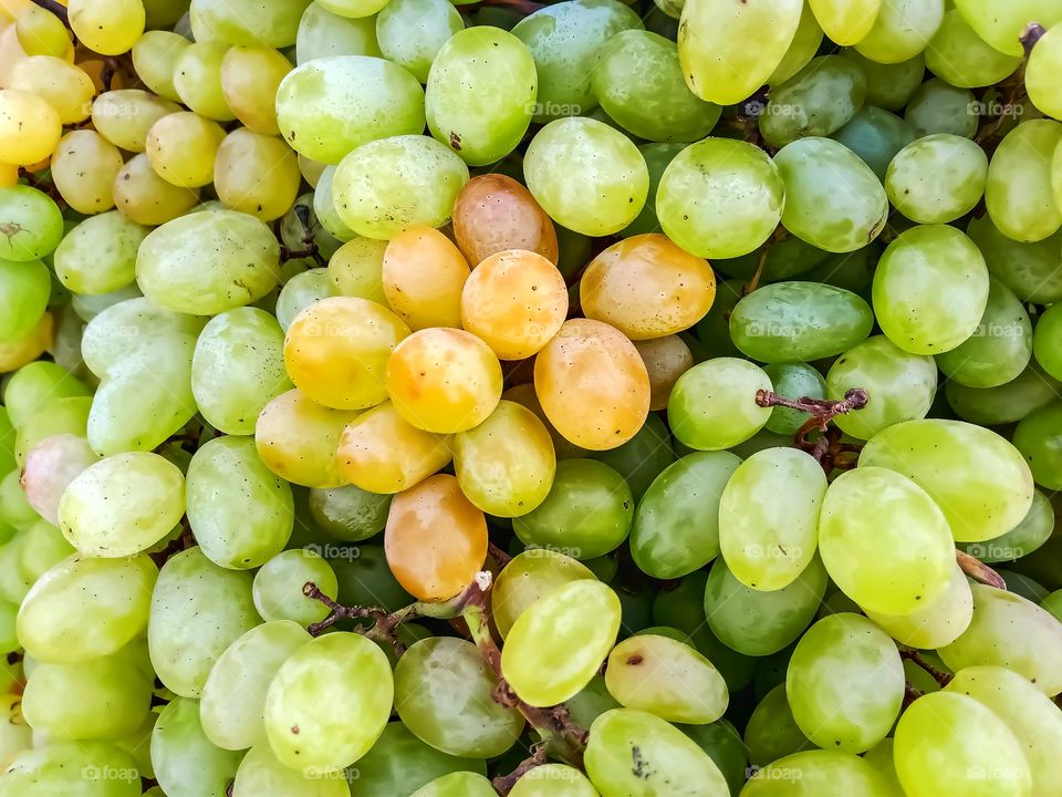 Beautiful grapes awesome and beautiful image india