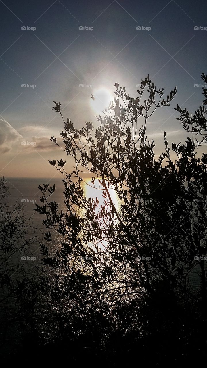 waiting for the sunset on the ligurian sea