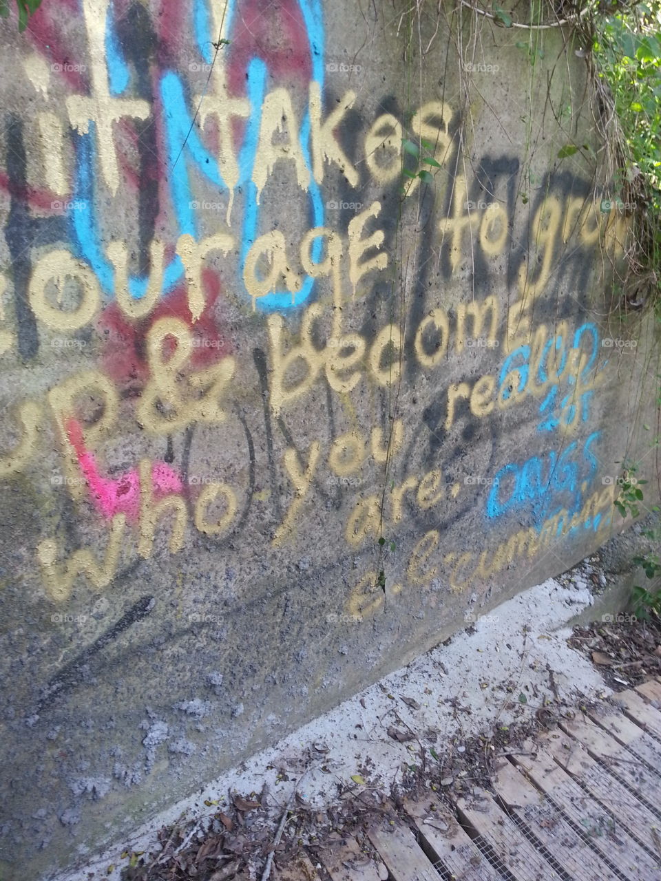 graffiti. graffitti on a wall in cameron park