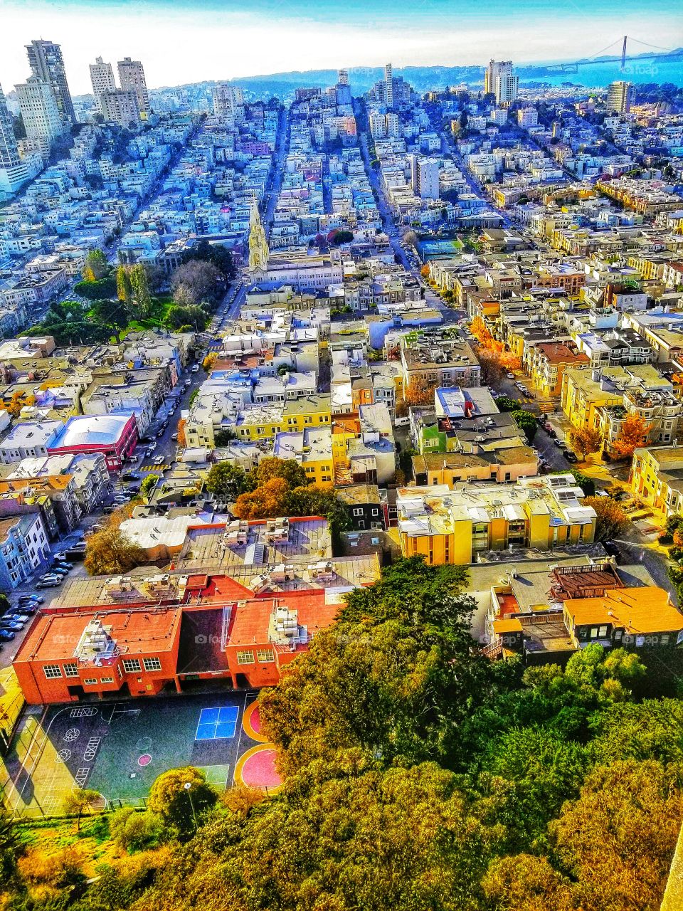 SAN FRANCESCO|california