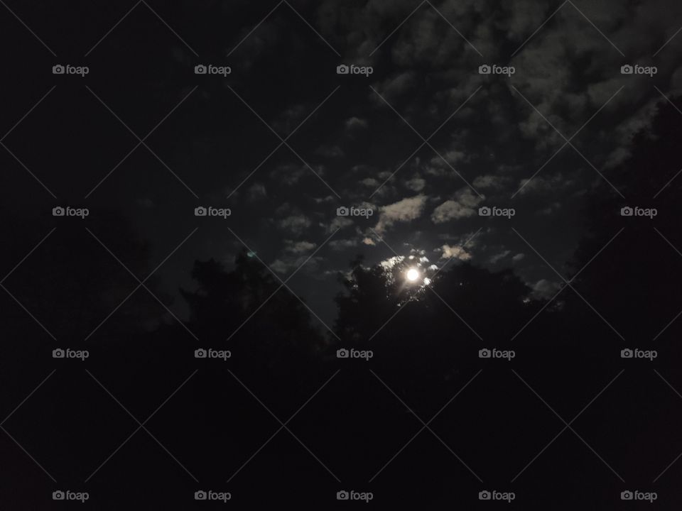 full Moon with clouds with tree Silhouettes at night