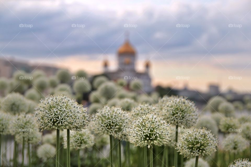 decorative flowers and temple in the background