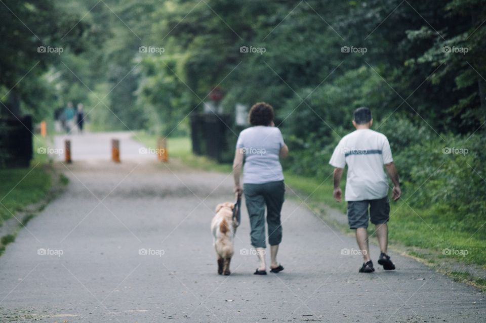 Going for a stroll in the evening 