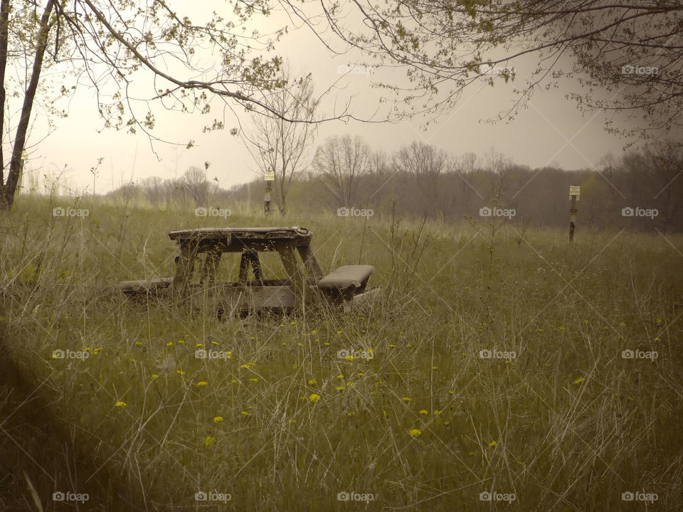 Take the Nostalgic Way Home ( Series )