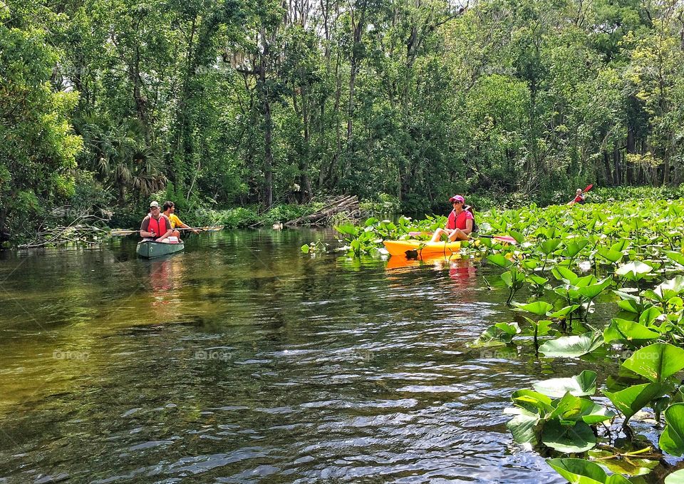Kayaking on the Wekiva River, seconds before my mom had her alligator encounter....... 