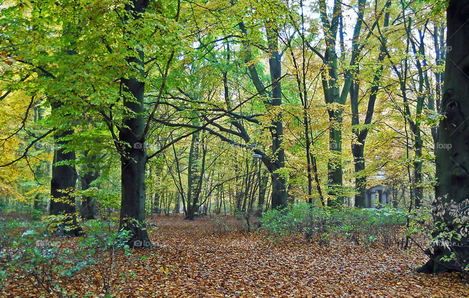 Pildammsparken Malmö Sweden