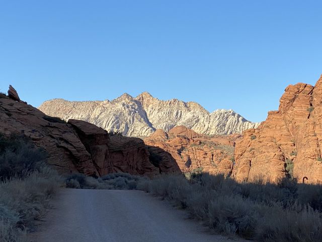 Desert shadow 