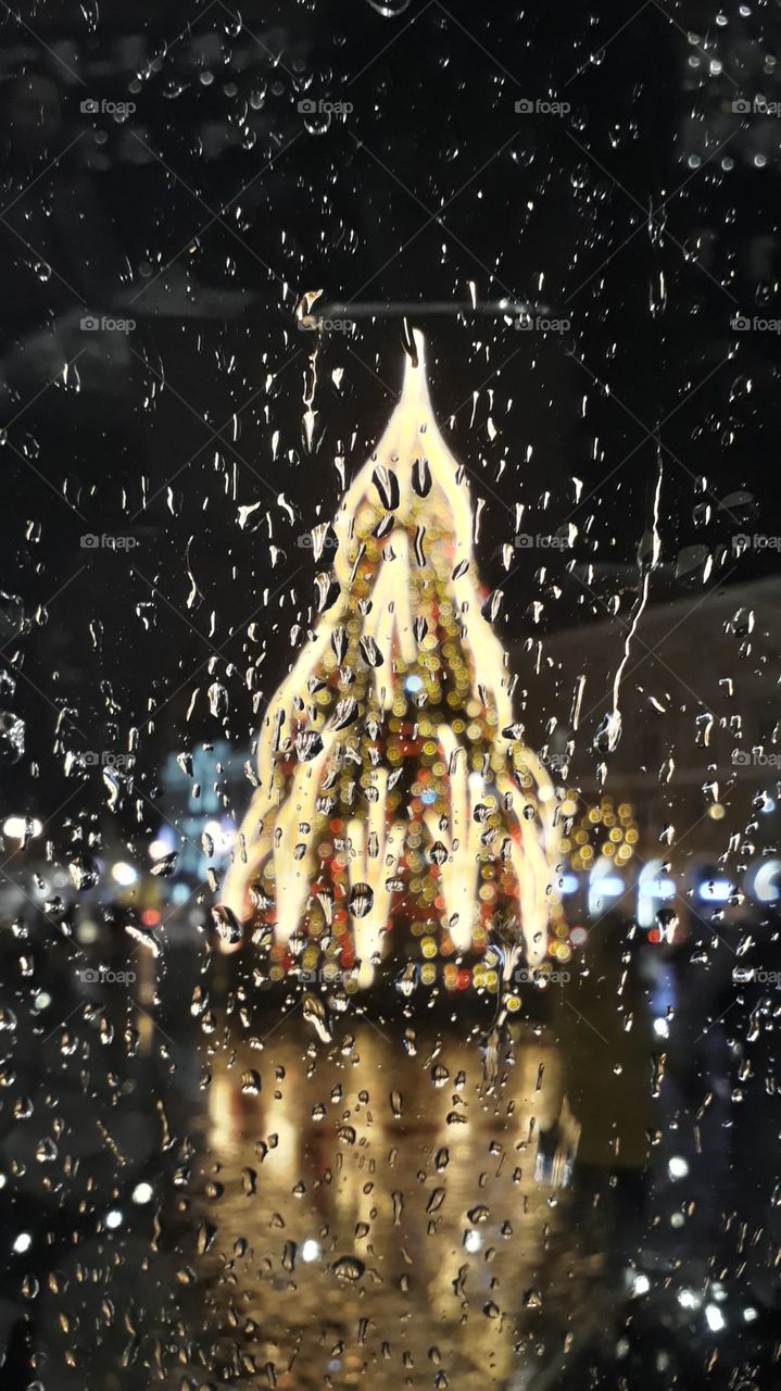 Christmas tree in Vilnius