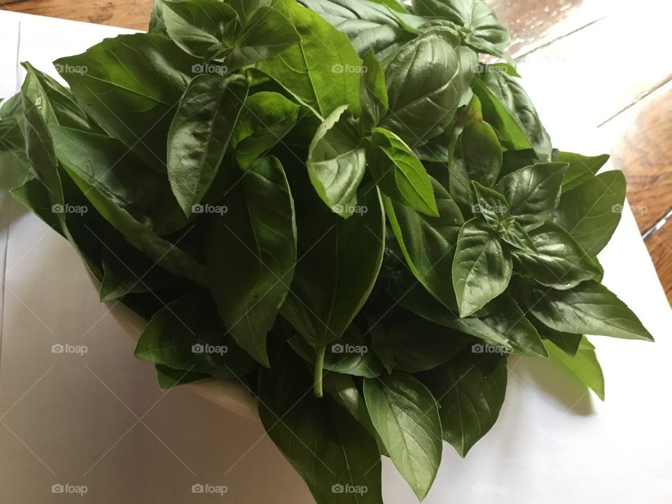 Basil from backyard