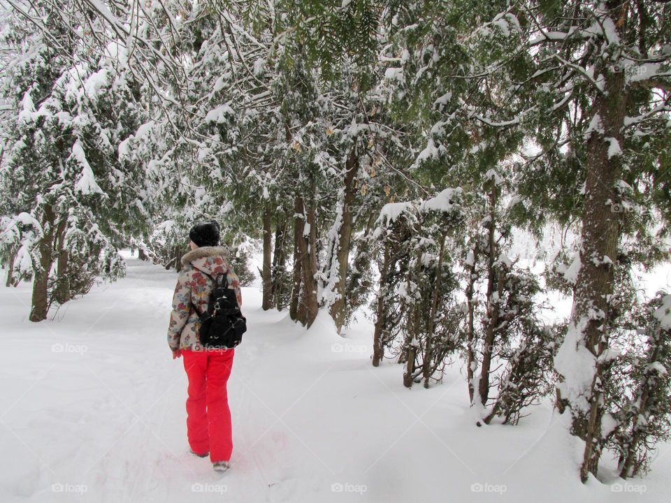 A woman in warm clothes on a walk in a snow-covered forest, the ground and trees are covered with white snow