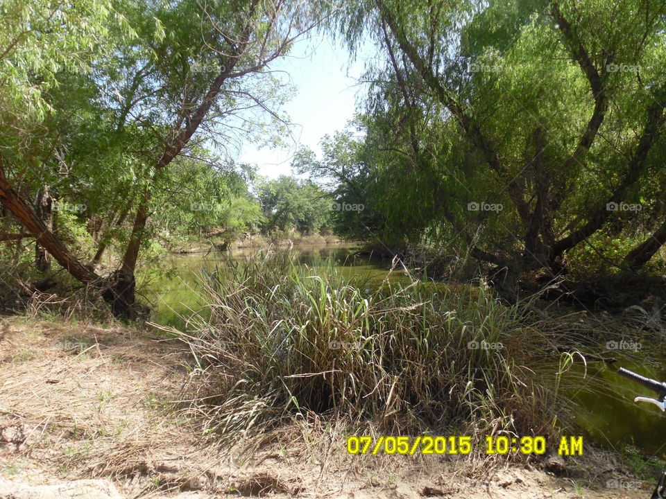 Texas Creek Rd. This is a picture of a creek where you can catch some big catfish located near Graham Texas