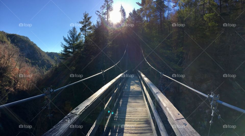 Suspension bridge 