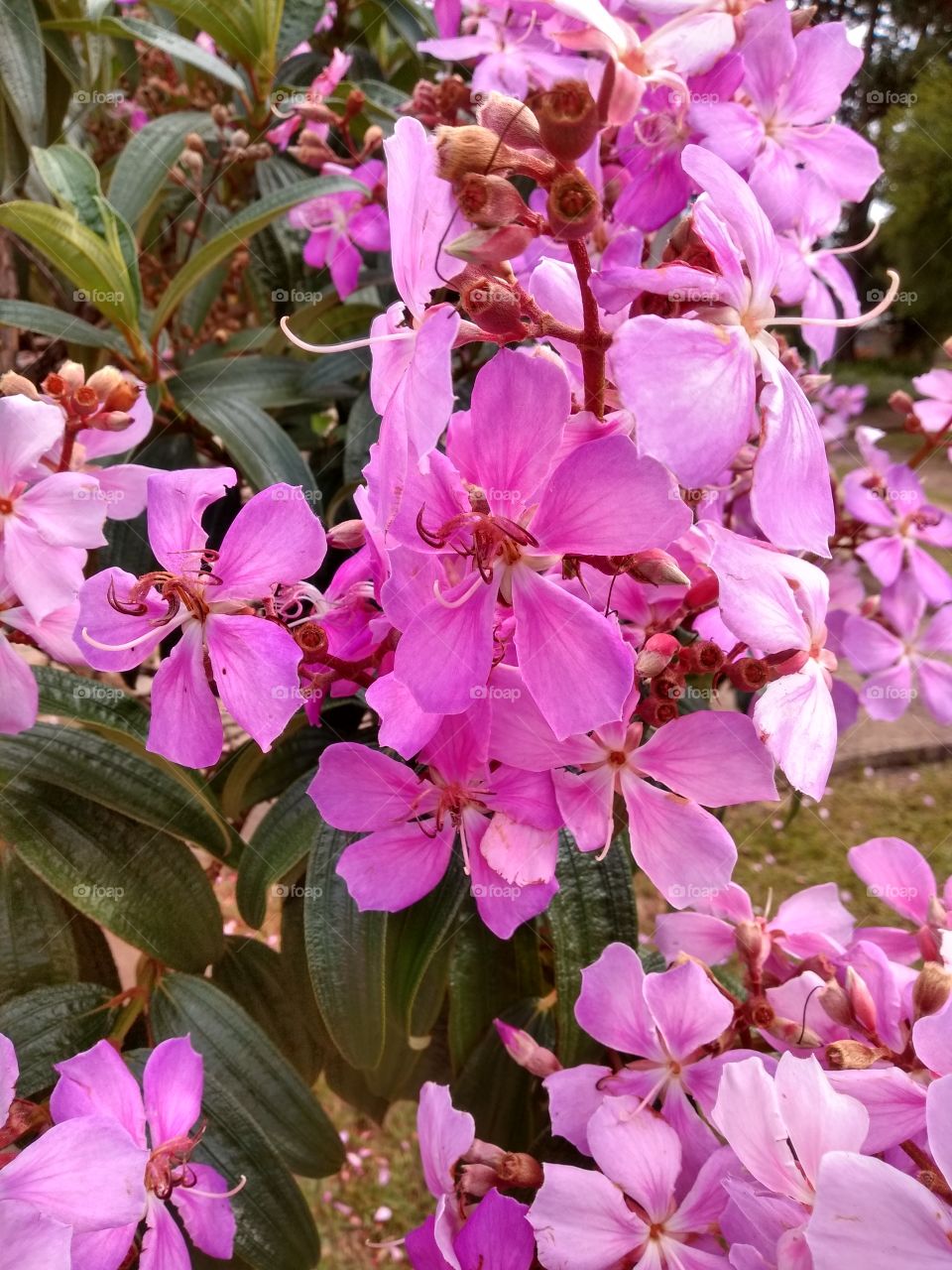 welcome foap: spring