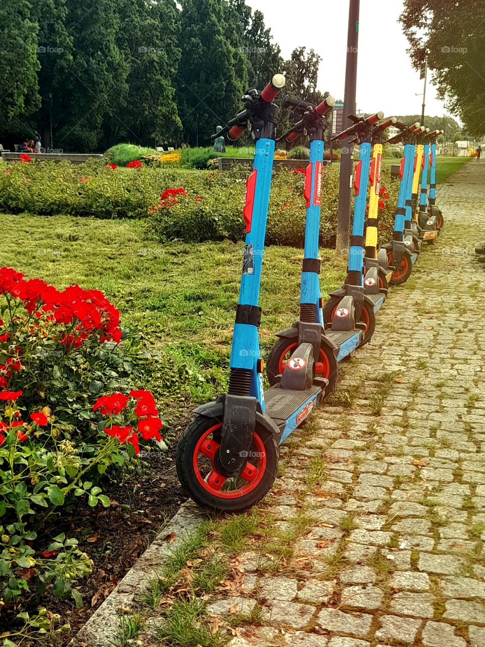 Scooters standing in line