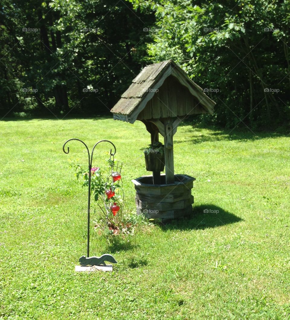 Something squirrelly going on 