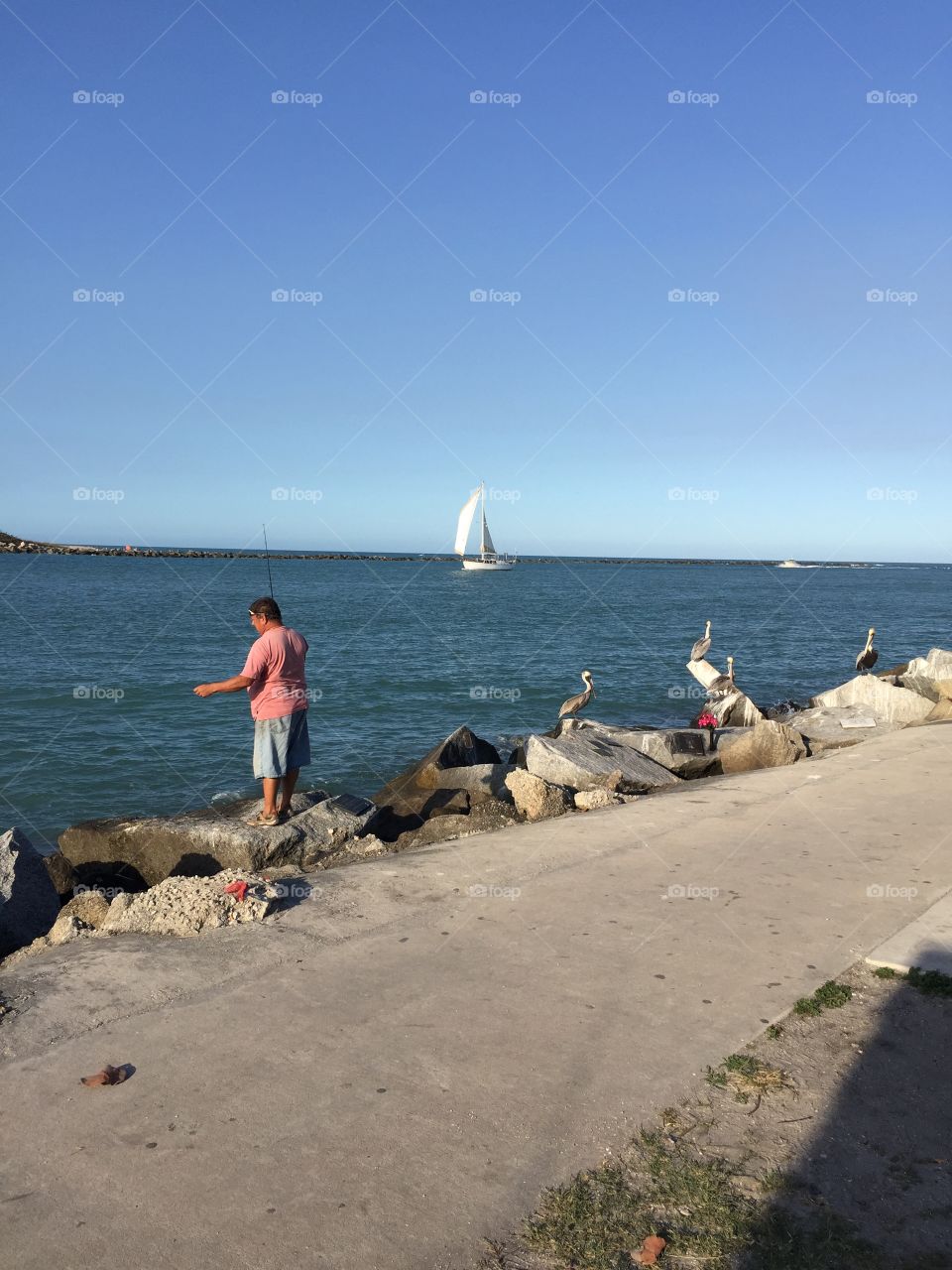 Man fishing-sailboat-pelicans