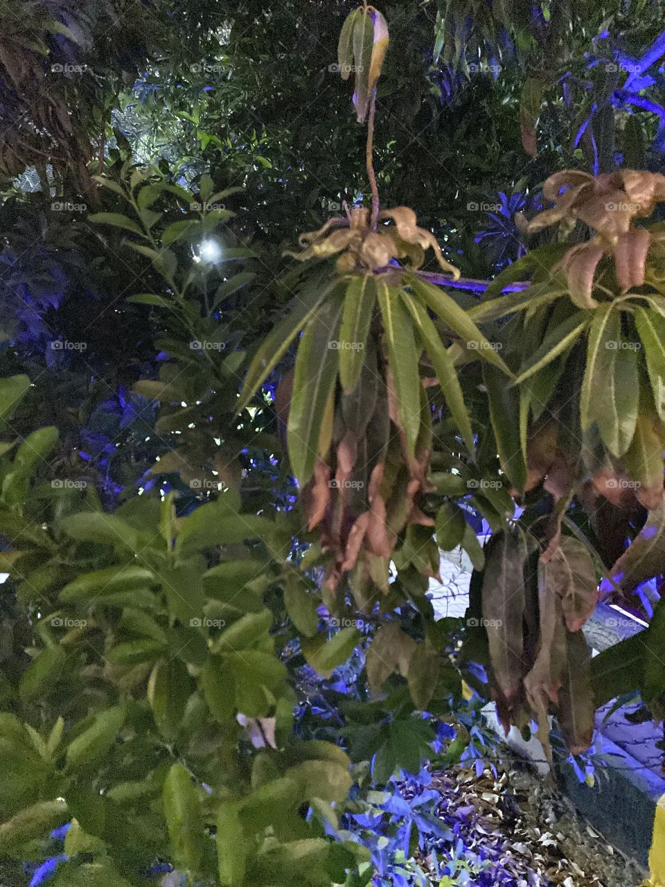 Amazing photo for home in Jeddah city 🏡