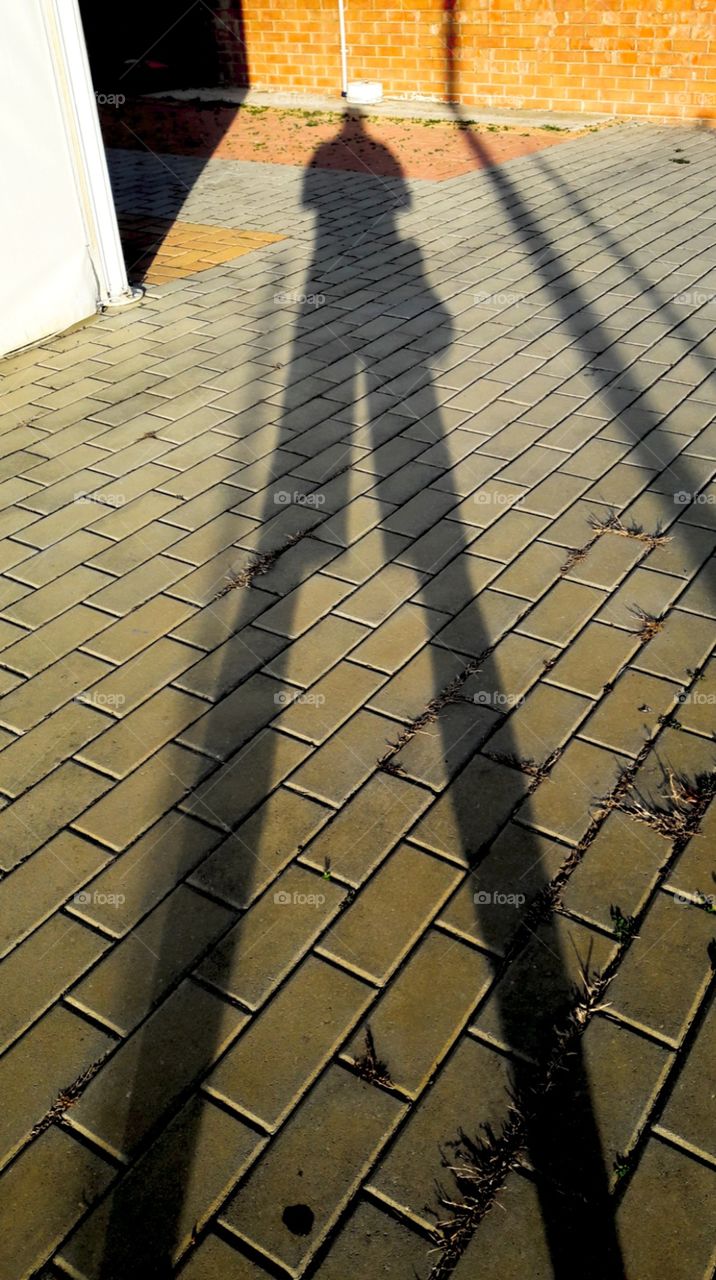 long shadow for president