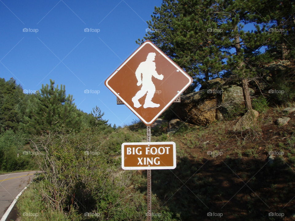 Bigfoot crossing ~ it's a real sign!