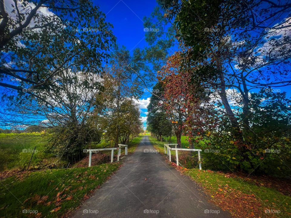 Taking a walk down nature lane