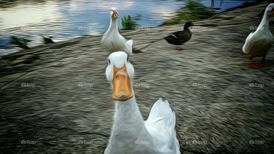 Painting of the famous Dudley Duck