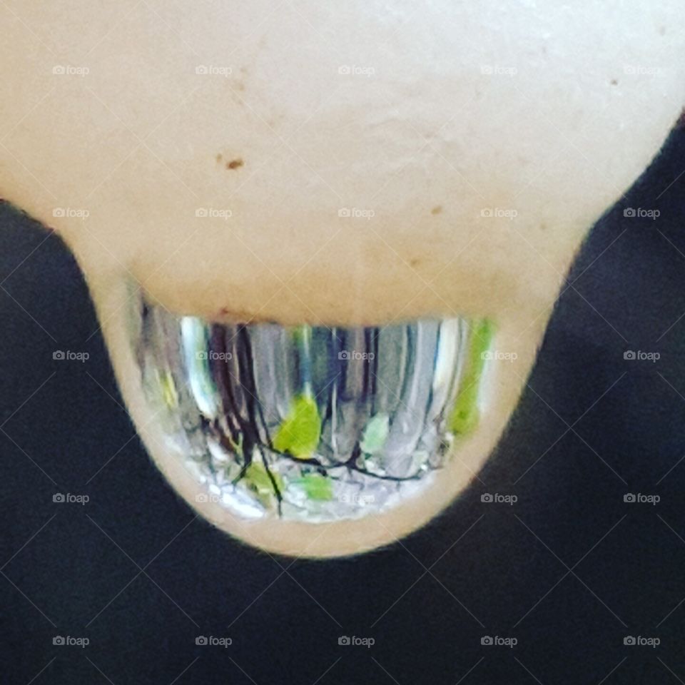 rain drop on a berry