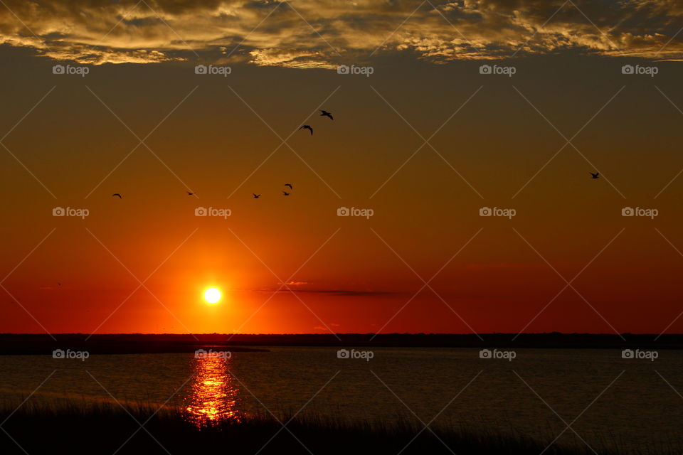 Scenic view of sunset